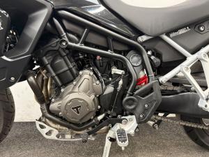 Used Triumph TIGER 900 GT PRO TIGER 900 GT PRO | Image 3