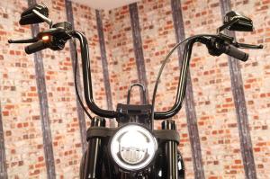 Used Harley-Davidson SOFTAIL FXLRS LOW RIDER S SOFTAIL FXLRS LOW RIDER S | Image 3