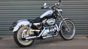 Used Harley-Davidson SPORTSTER SPORTSTER XL883C | Image 2