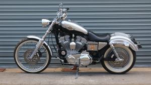 Used Harley-Davidson SPORTSTER SPORTSTER XL883C | Image 3