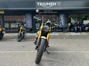 Ex Demo Triumph SCRAMBLER 900 SCRAMBLER 900 | Image 3