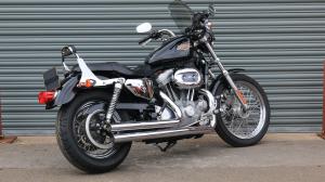 Used Harley-Davidson SPORTSTER SPORTSTER XL883L LOW | Image 2