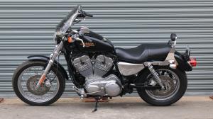 Used Harley-Davidson SPORTSTER SPORTSTER XL883L LOW | Image 3