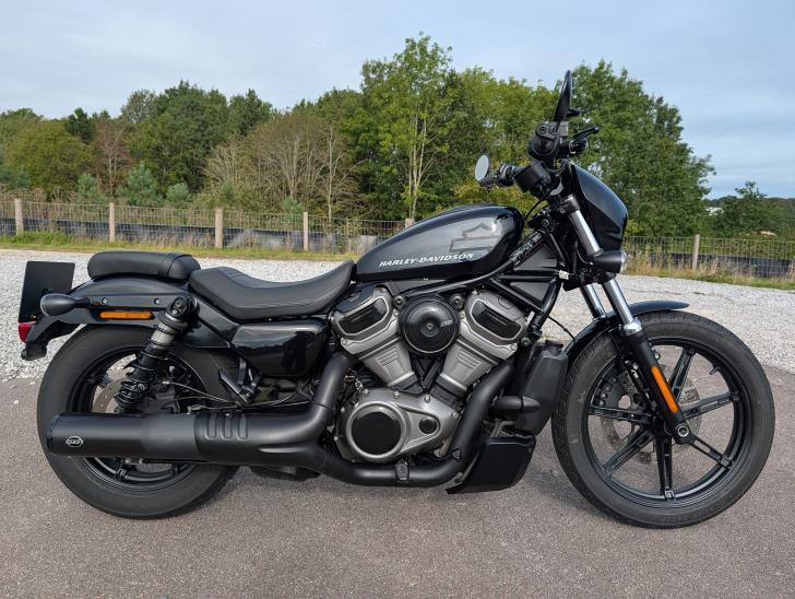 Used Harley-Davidson NIGHTSTER 975