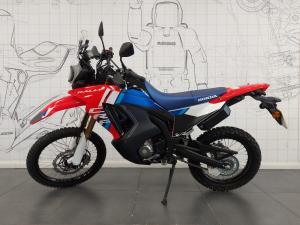 New Honda CRF 300 RALLY CRF 300 RALLY | Image 4
