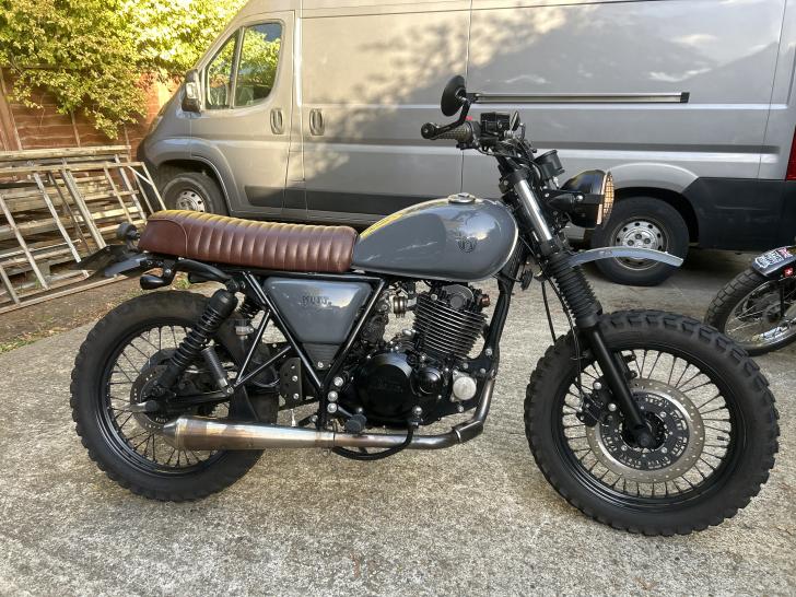 Used Mutt MONGREL 250